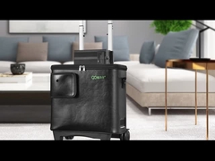 de concentrator van de batterijzuurstof