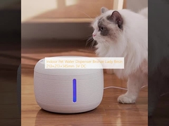 Innenhuiswaterverdeler voor huisdieren Brons Lady Hars 213×213×145mm 5V DC