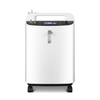 220V O2-de Concentratormachine, Zuurstofmachine 10l met atomiseert Functie