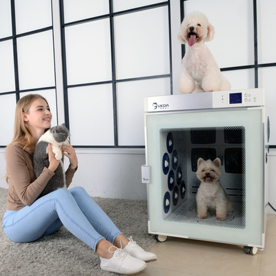 De Droogkapmachine Negatief Ion Bath Near Infrared Therapy van de kabinetshond