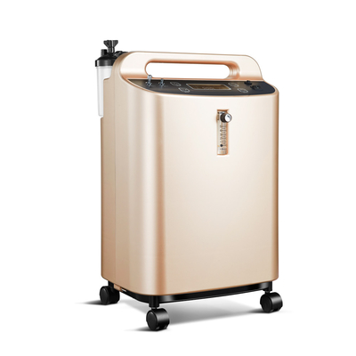 De Zuurstofconcentrator 600w van Ce 10L het OVERVERHITTEN x-y-6s-10 BESCHERMING Met geringe geluidssterkte
