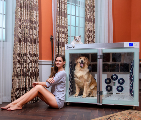 het Huisdieren Drogere Kooi 6 van 220V 2500W Ventilators Met geringe geluidssterkte voor Hond het Verzorgen
